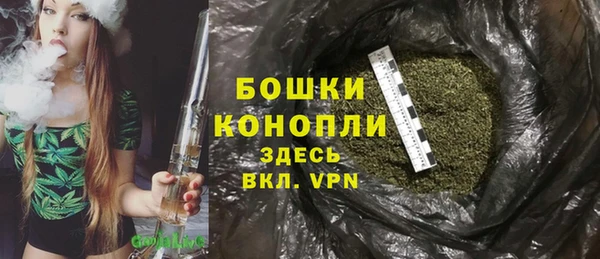 дмт Корсаков
