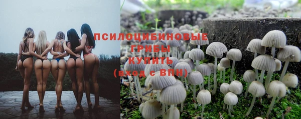 прущий лед Костерёво